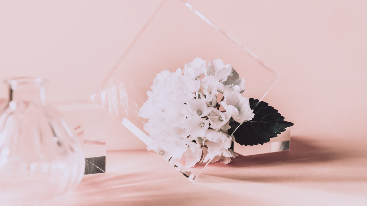 Shutterstock 1848254995